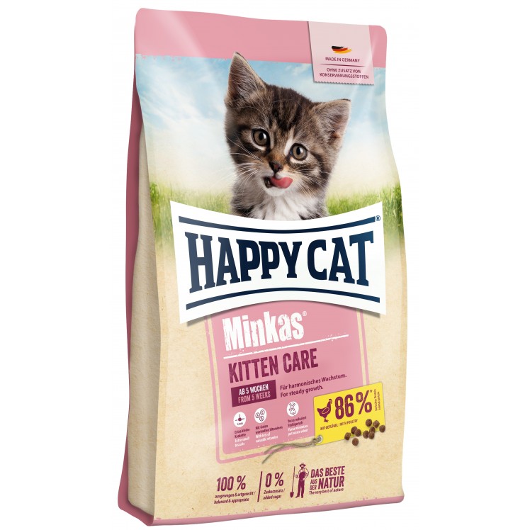 HAPPY CAT Minkas Kitten...