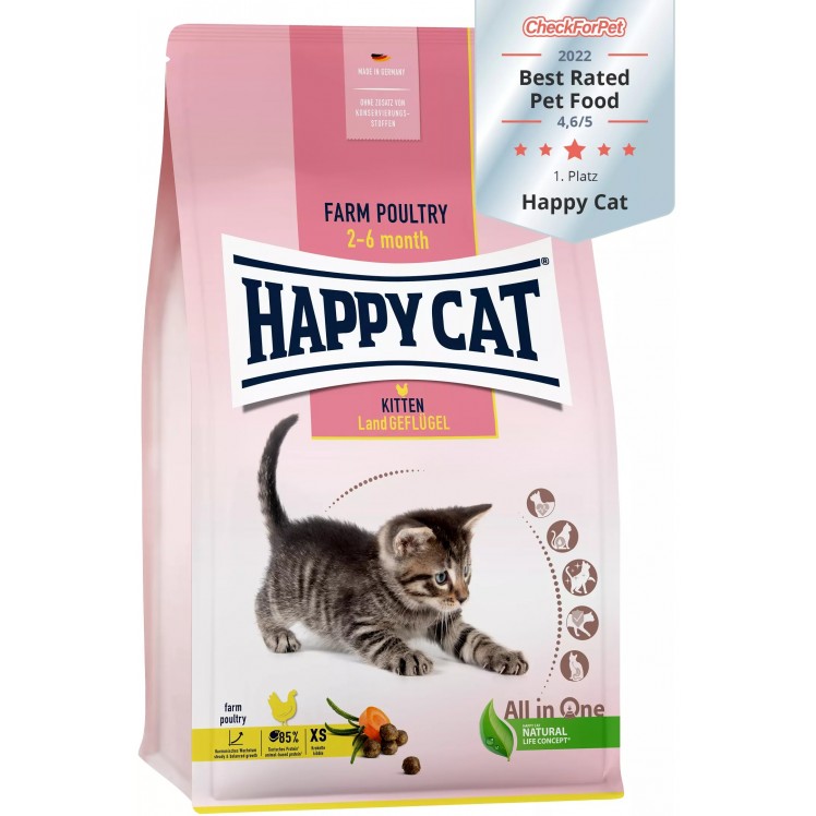 HAPPY CAT Kitten Ave de...